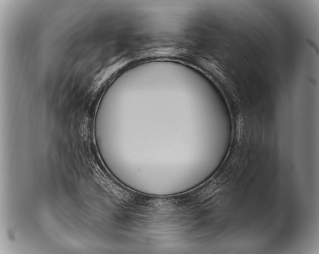 X0000100411404200806201748