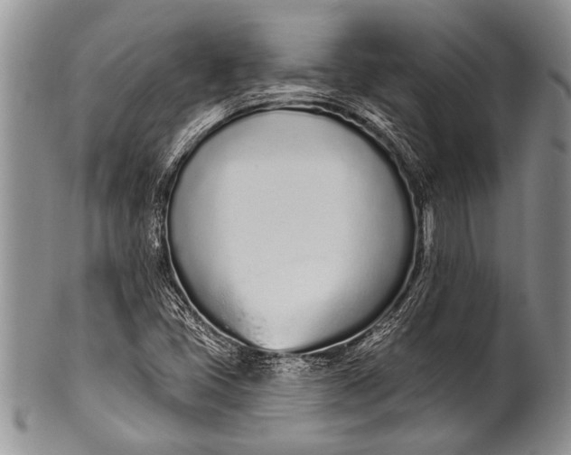 X0000100411405200806201748