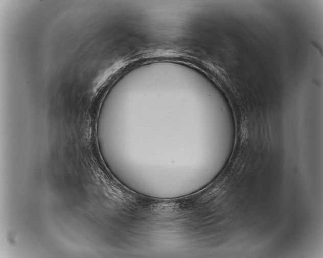 X0000100411406200806201748