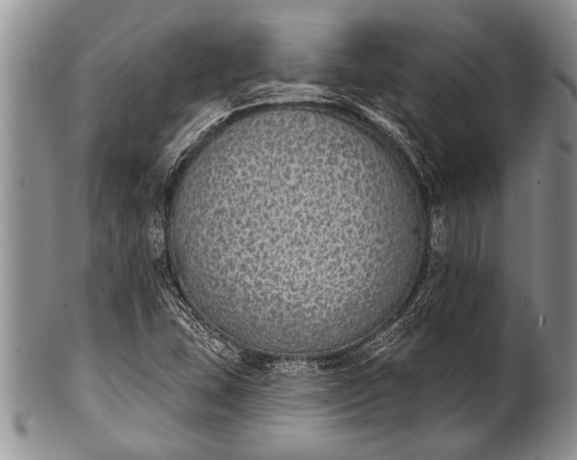 X0000100411407200806201748