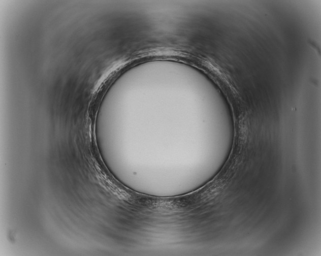 X0000100411408200806201748