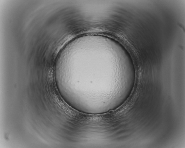 X0000100411409200806201748