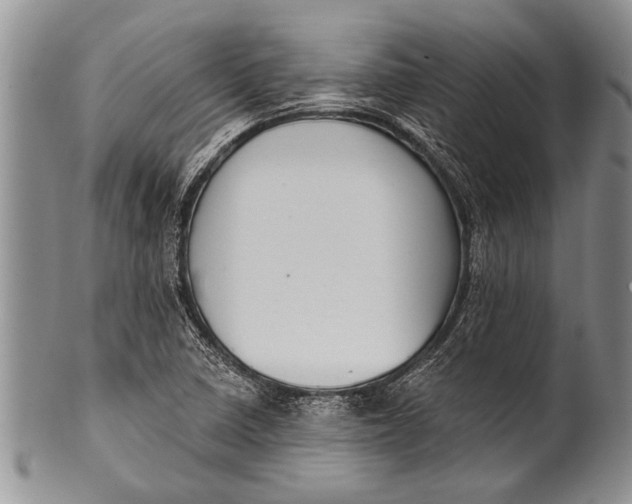 X0000100411410200806201748