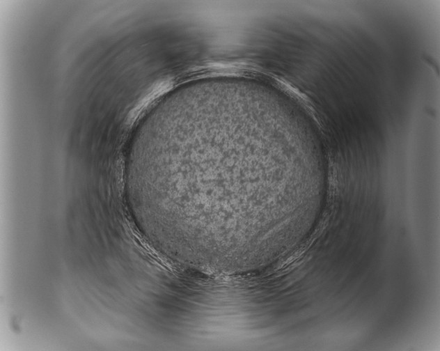 X0000100411411200806201748