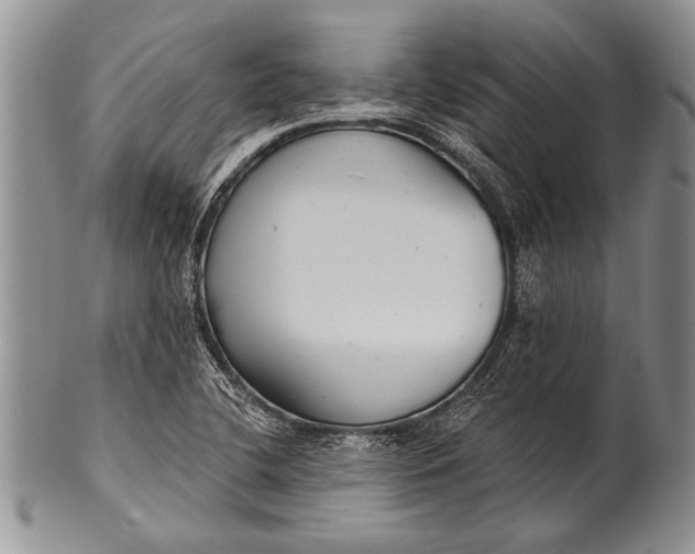 X0000100411412200806201748