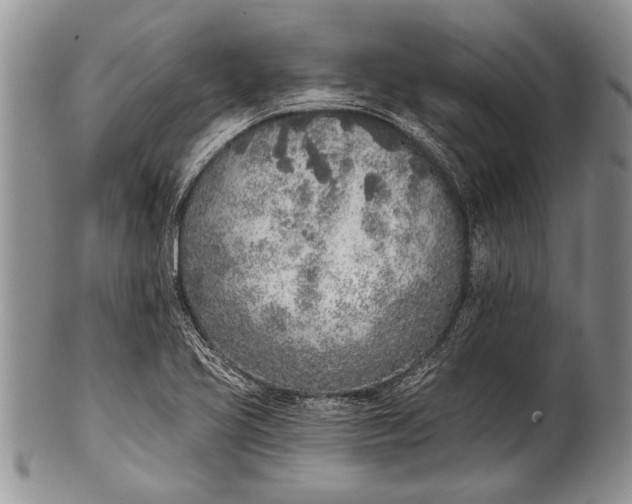 X0000100411413200806201748