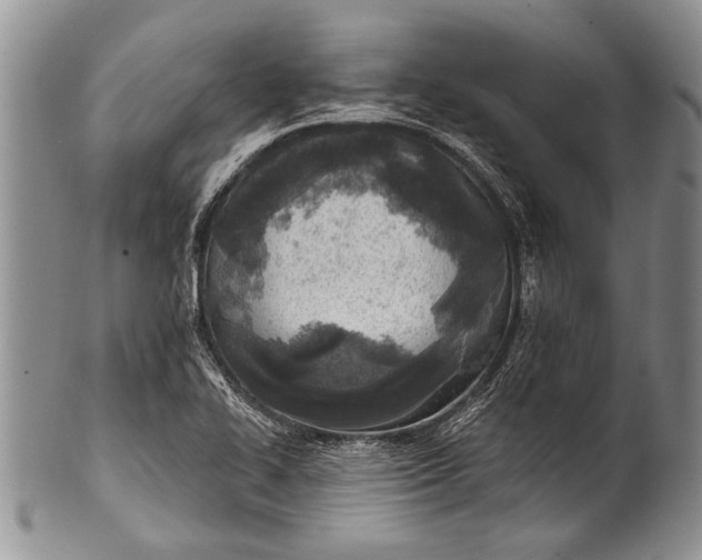 X0000100411414200806201749