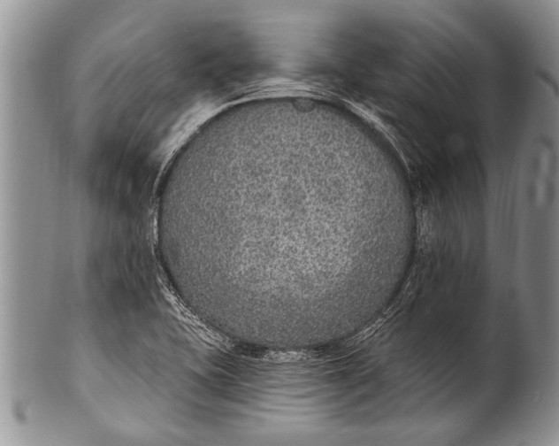 X0000100411415200806201749