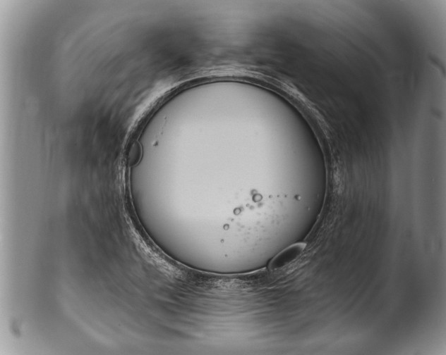 X0000100411416200806201749