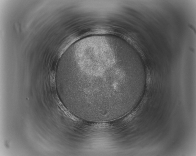 X0000100411417200806201749