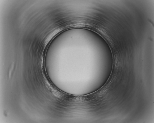 X0000100411418200806201749