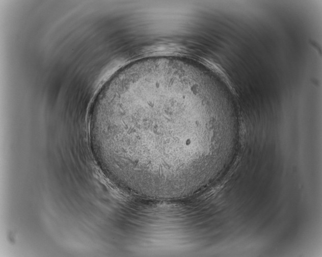 X0000100411419200806201749