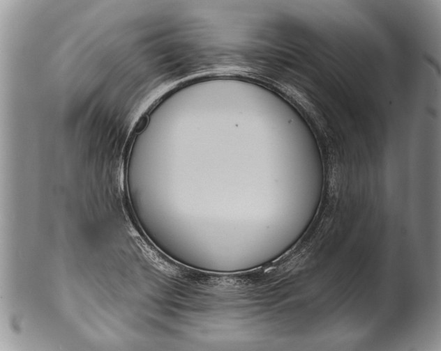 X0000100411420200806201749