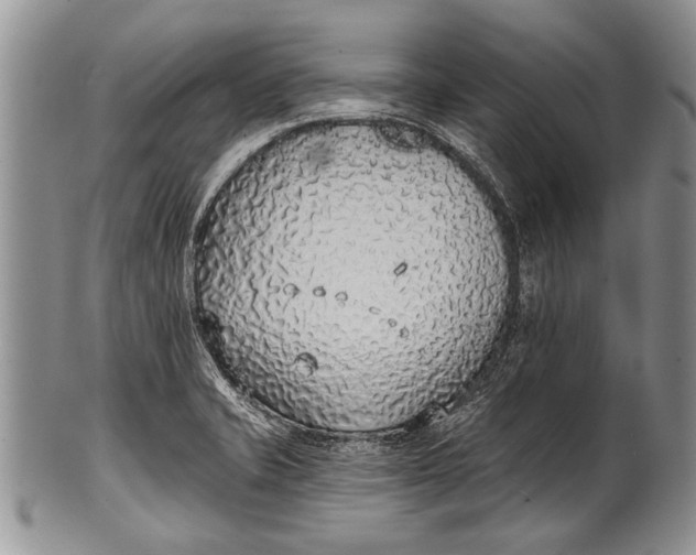 X0000100411421200806201749