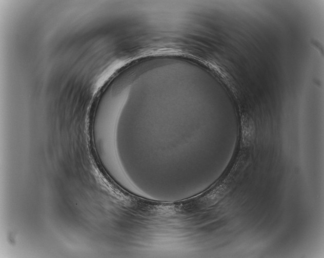 X0000100411422200806201749