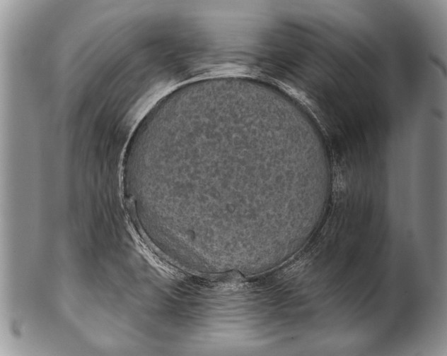 X0000100411423200806201749