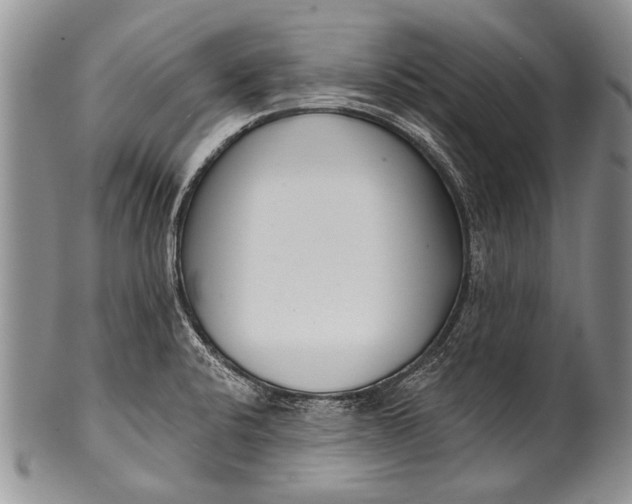 X0000100411424200806201749