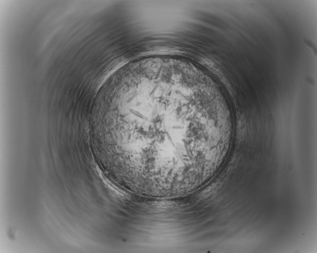 X0000100411425200806201749