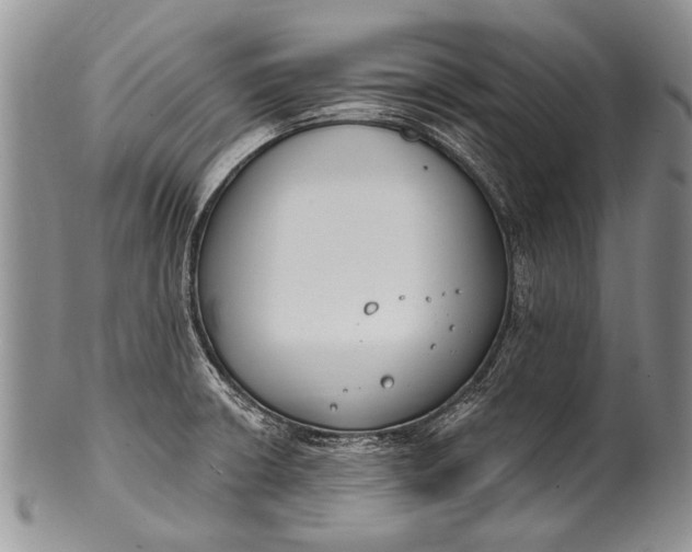 X0000100411426200806201749