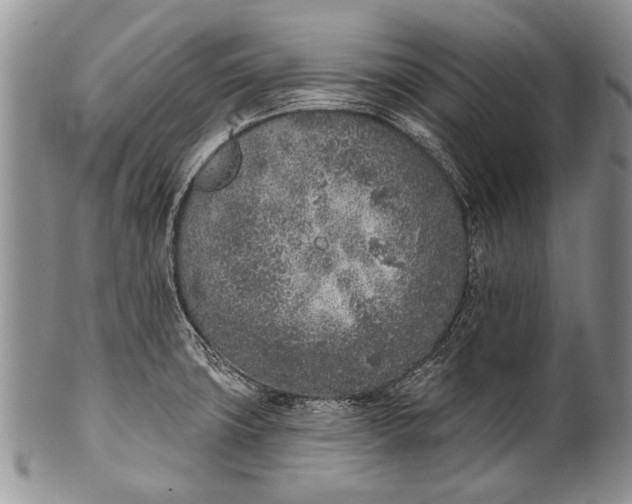 X0000100411427200806201749