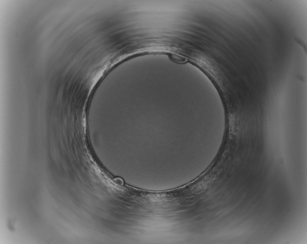 X0000100411428200806201749