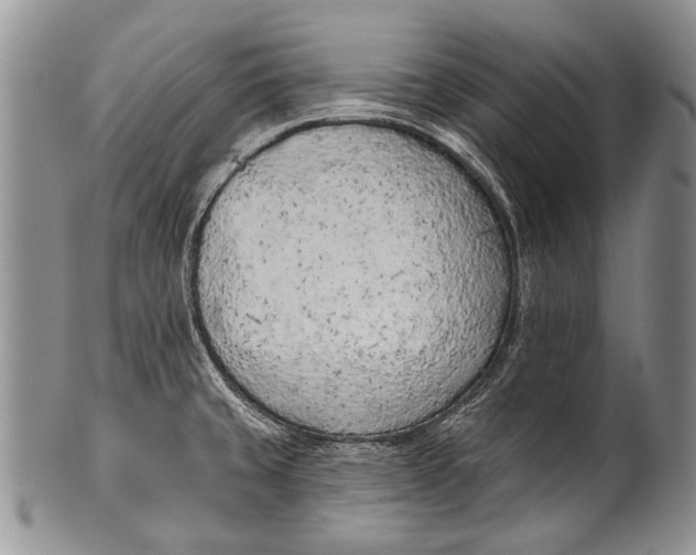 X0000100411429200806201749