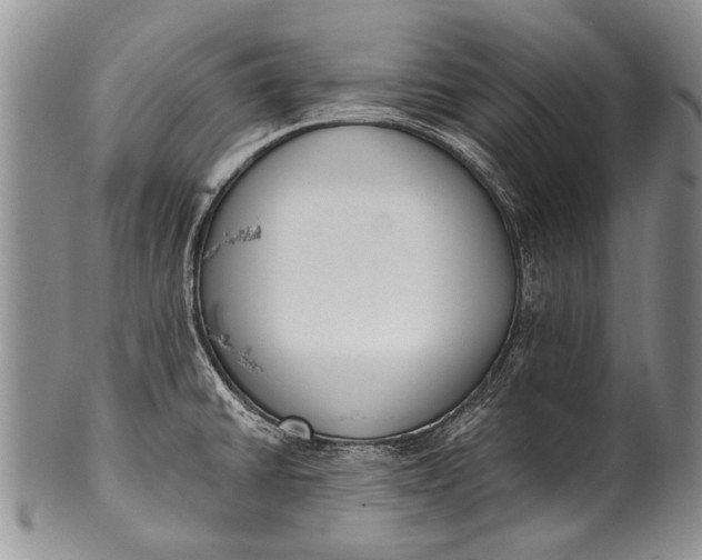 X0000100411430200806201749