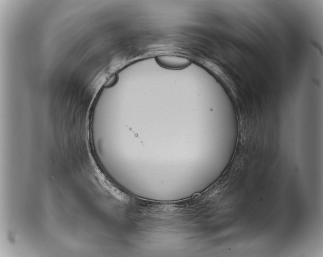 X0000100411431200806201749