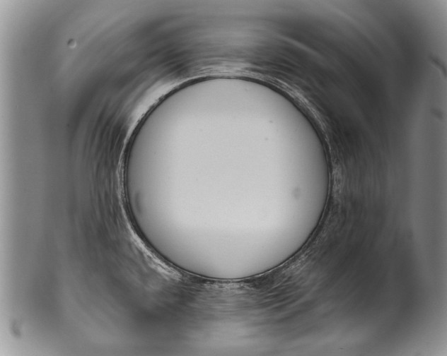 X0000100411432200806201749