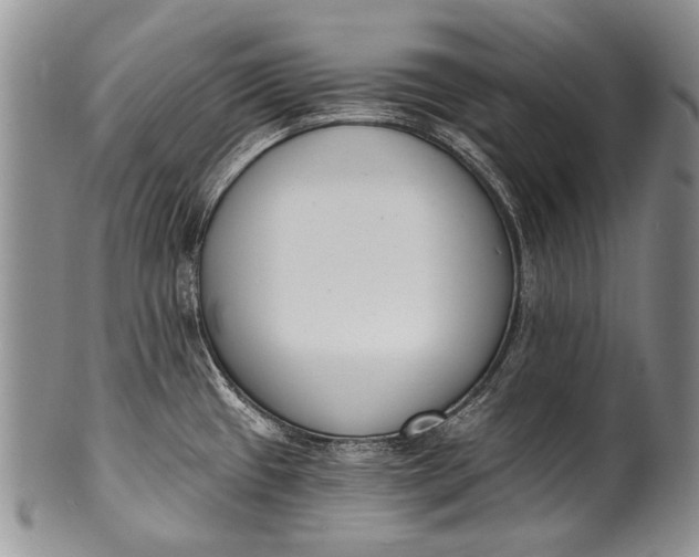 X0000100411433200806201749