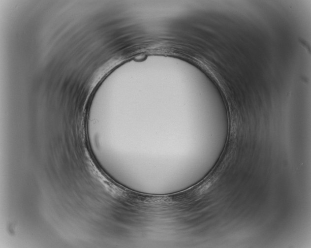 X0000100411434200806201749