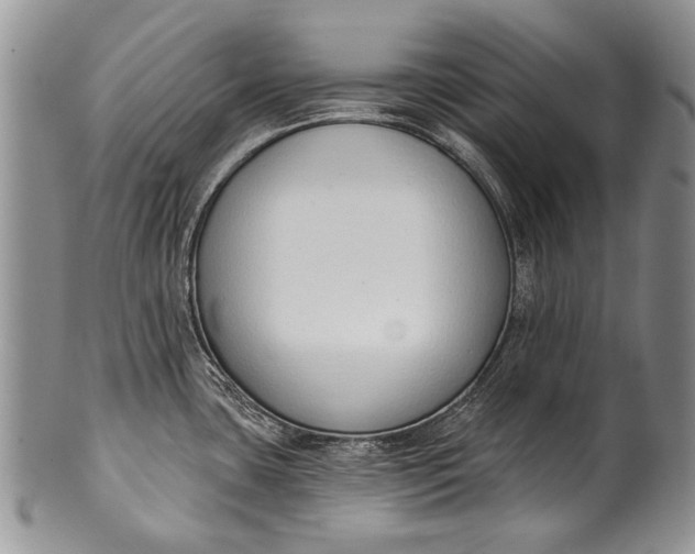 X0000100411435200806201749