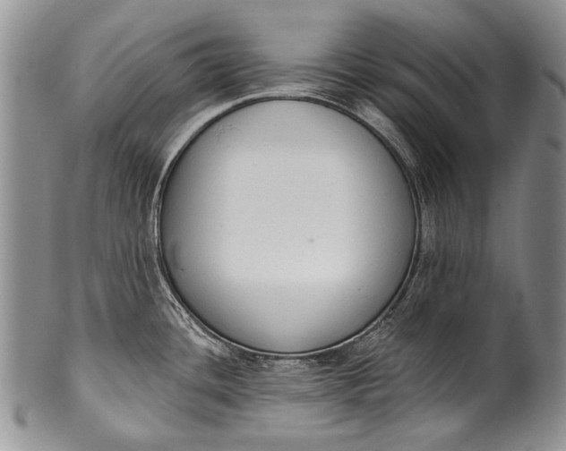 X0000100411436200806201749