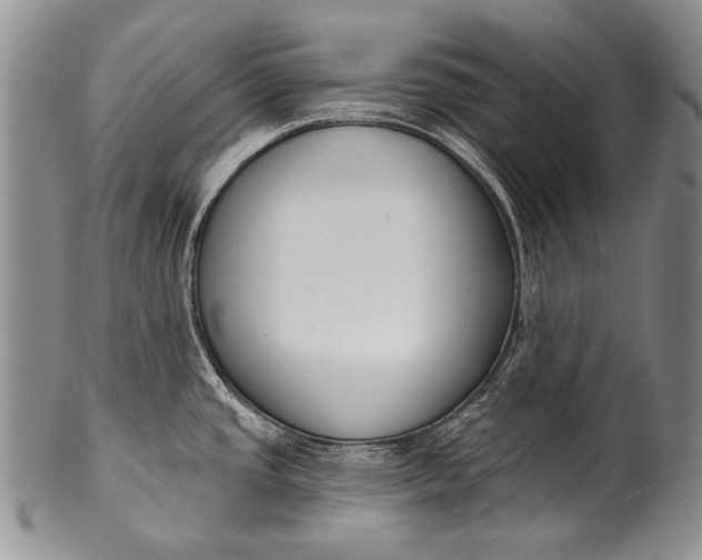 X0000100411437200806201749