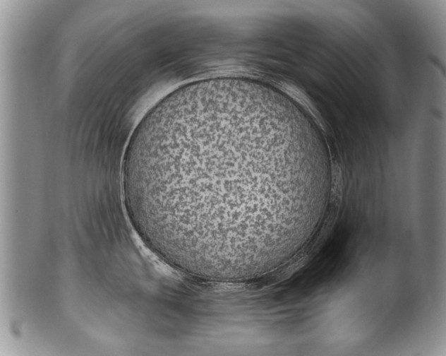 X0000100411439200806201749