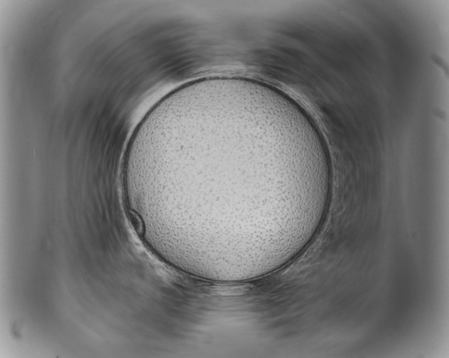 X0000100411440200806201749