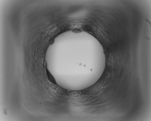 X0000100411441200806201748