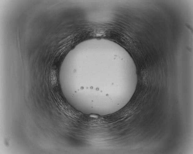 X0000100411442200806201748