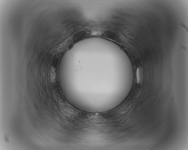 X0000100411443200806201748