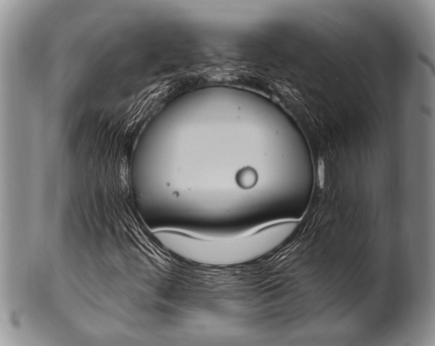 X0000100411444200806201748