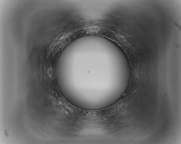 X0000100411445200806201748