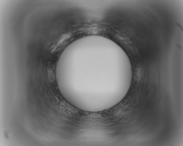 X0000100411446200806201748