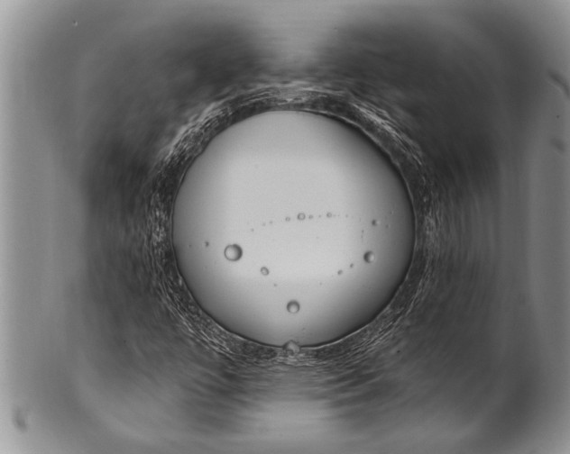 X0000100411447200806201748