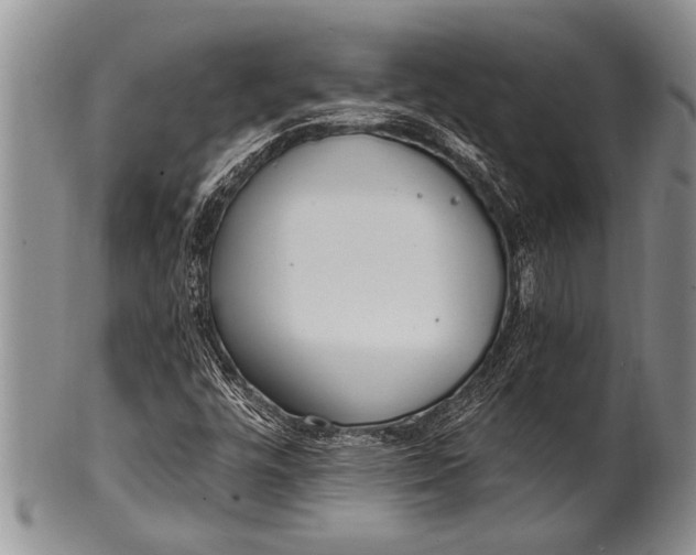 X0000100411448200806201748