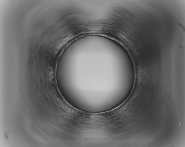 X0000100411449200806201748