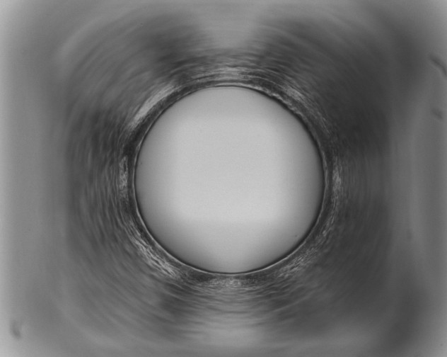 X0000100411450200806201748