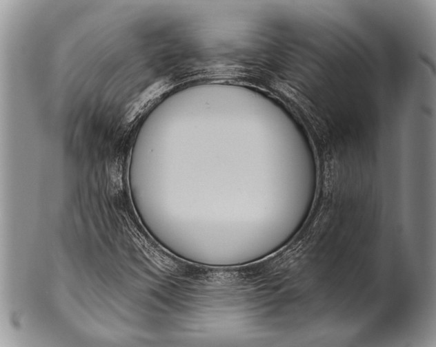 X0000100411451200806201748