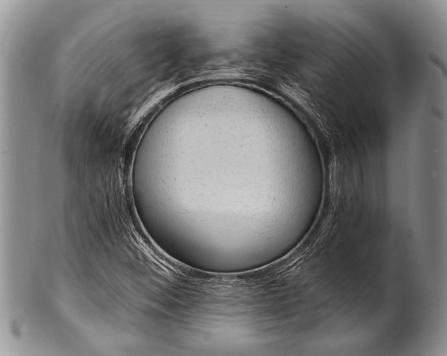 X0000100411452200806201748