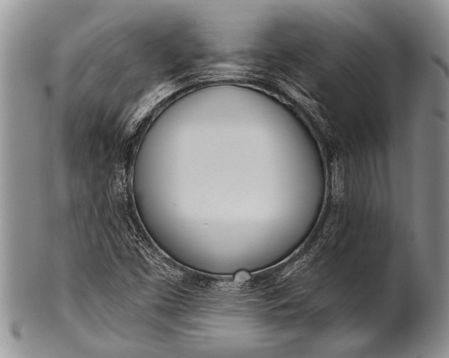 X0000100411453200806201748