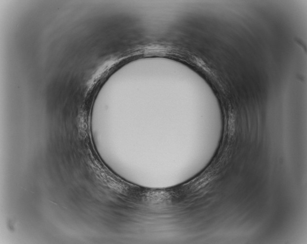 X0000100411454200806201748